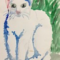 Ricardo's Cat Max in the Grass